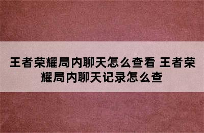 王者荣耀局内聊天怎么查看 王者荣耀局内聊天记录怎么查